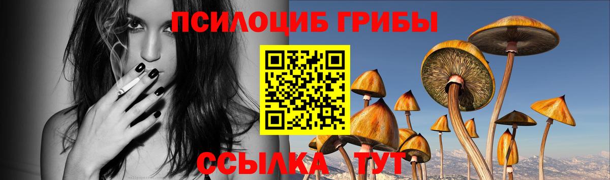 Галлюциногенные грибы прущие грибы Щёкино